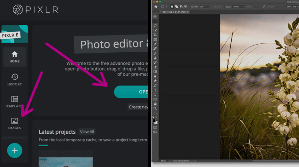 Pixlr vs Adobe Photoshop